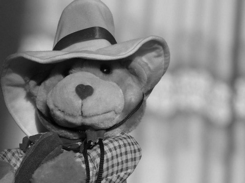 Kliknij na zdjęcie, żeby zobaczyć w pełnych wymiarach