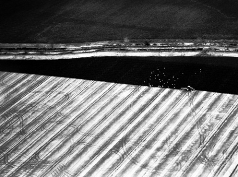 Kliknij na zdjęcie, żeby zobaczyć w pełnych wymiarach