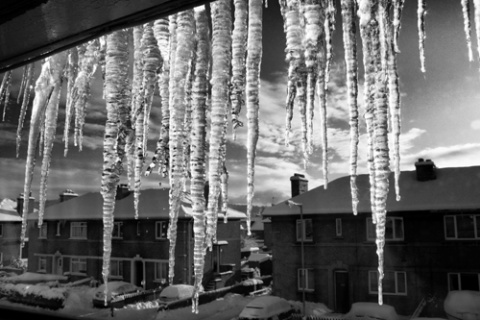 Kliknij na zdjęcie, żeby zobaczyć w pełnych wymiarach