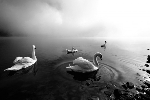 Kliknij na zdjęcie, żeby zobaczyć w pełnych wymiarach