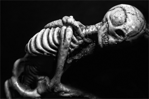 Kliknij na zdjęcie, żeby zobaczyć w pełnych wymiarach