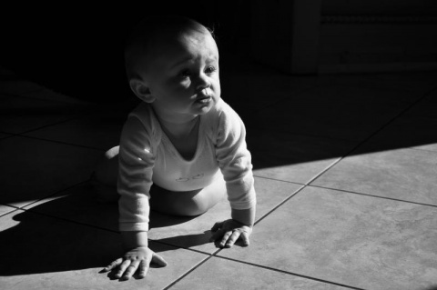 Kliknij na zdjęcie, żeby zobaczyć w pełnych wymiarach