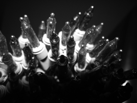 Kliknij na zdjęcie, żeby zobaczyć w pełnych wymiarach