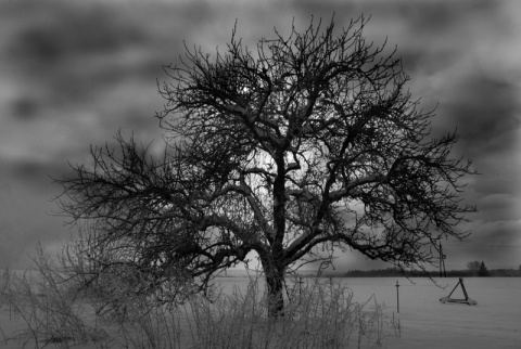 Kliknij na zdjęcie, żeby zobaczyć w pełnych wymiarach