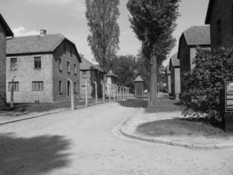 Kliknij na zdjęcie, żeby zobaczyć w pełnych wymiarach