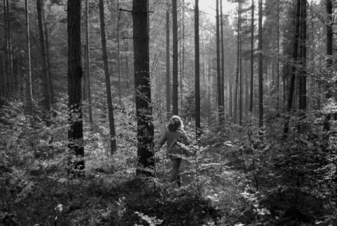 Kliknij na zdjęcie, żeby zobaczyć w pełnych wymiarach