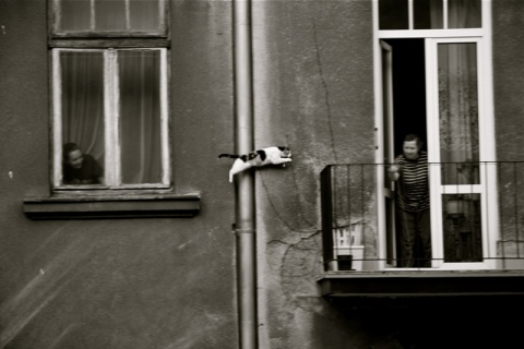Kliknij na zdjęcie, żeby zobaczyć w pełnych wymiarach