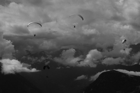 Kliknij na zdjęcie, żeby zobaczyć w pełnych wymiarach