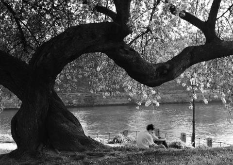 Kliknij na zdjęcie, żeby zobaczyć w pełnych wymiarach