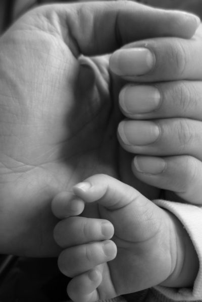 Kliknij na zdjęcie, żeby zobaczyć w pełnych wymiarach