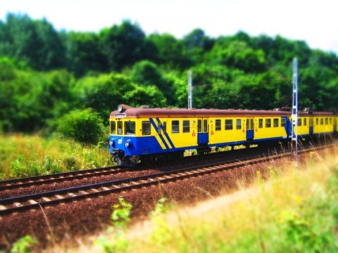 Kliknij na zdjęcie, żeby zobaczyć w pełnych wymiarach