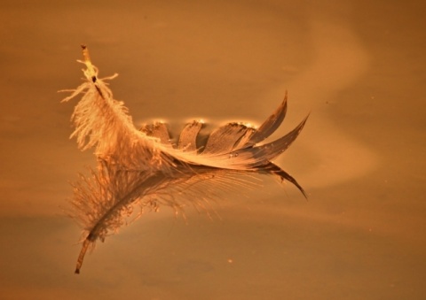 Kliknij na zdjęcie, żeby zobaczyć w pełnych wymiarach