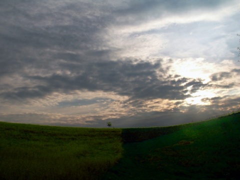 Kliknij na zdjęcie, żeby zobaczyć w pełnych wymiarach