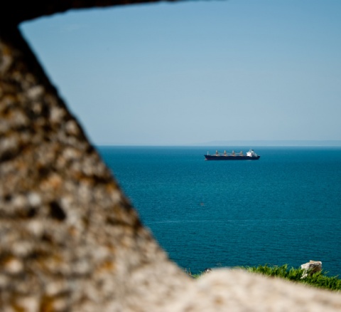 Kliknij na zdjęcie, żeby zobaczyć w pełnych wymiarach