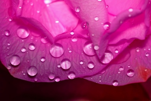 Kliknij na zdjęcie, żeby zobaczyć w pełnych wymiarach