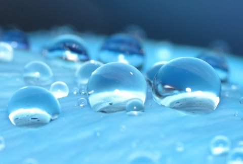 Kliknij na zdjęcie, żeby zobaczyć w pełnych wymiarach