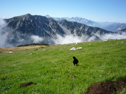 Kliknij na zdjęcie, żeby zobaczyć w pełnych wymiarach