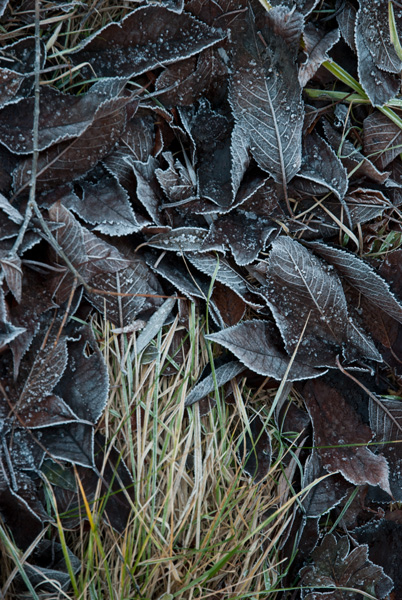 Kliknij na zdjęcie, żeby zobaczyć w pełnych wymiarach