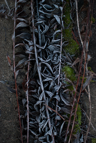 Kliknij na zdjęcie, żeby zobaczyć w pełnych wymiarach