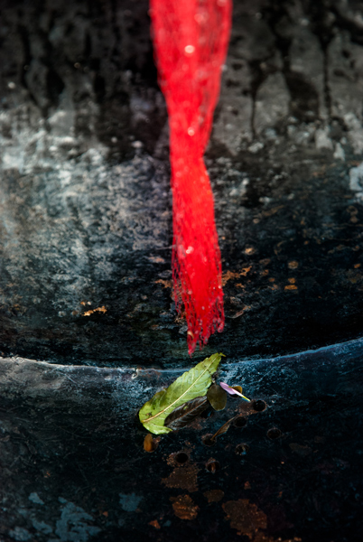 Kliknij na zdjęcie, żeby zobaczyć w pełnych wymiarach