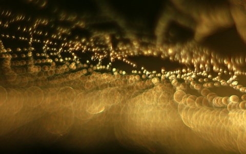 Kliknij na zdjęcie, żeby zobaczyć w pełnych wymiarach