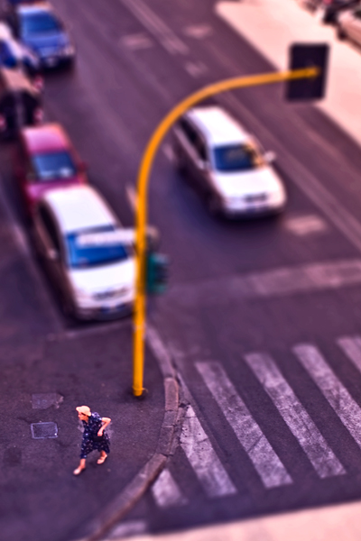 Kliknij na zdjęcie, żeby zobaczyć w pełnych wymiarach