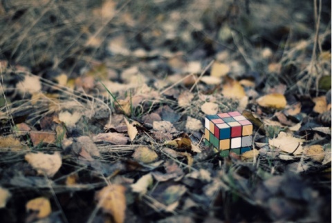 Kliknij na zdjęcie, żeby zobaczyć w pełnych wymiarach