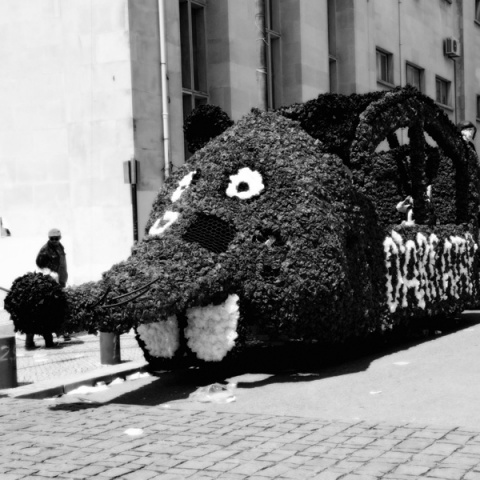 Kliknij na zdjęcie, żeby zobaczyć w pełnych wymiarach