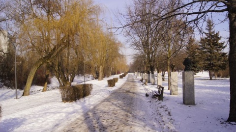 Kliknij na zdjęcie, żeby zobaczyć w pełnych wymiarach