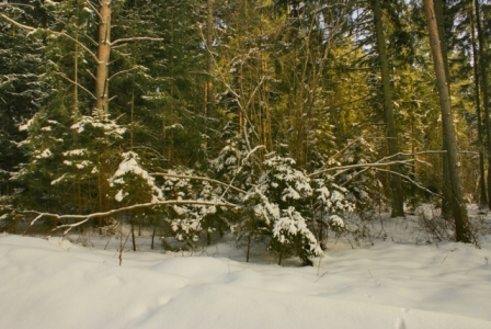 Kliknij na zdjęcie, żeby zobaczyć w pełnych wymiarach