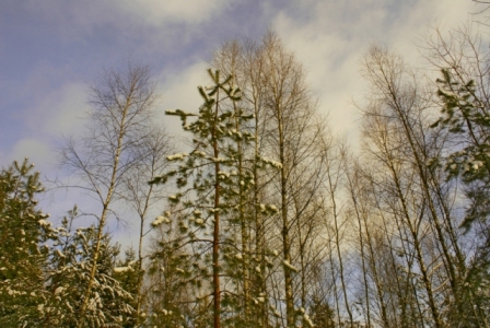 Kliknij na zdjęcie, żeby zobaczyć w pełnych wymiarach