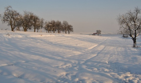Kliknij na zdjęcie, żeby zobaczyć w pełnych wymiarach