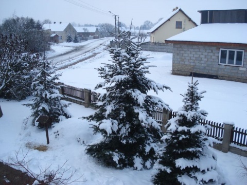 Kliknij na zdjęcie, żeby zobaczyć w pełnych wymiarach