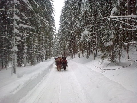 Kliknij na zdjęcie, żeby zobaczyć w pełnych wymiarach