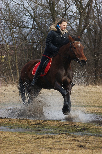 Kliknij na zdjęcie, żeby zobaczyć w pełnych wymiarach