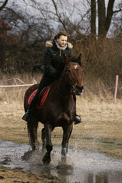 Kliknij na zdjęcie, żeby zobaczyć w pełnych wymiarach