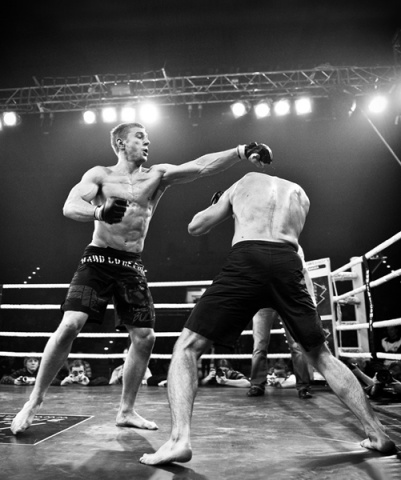 Kliknij na zdjęcie, żeby zobaczyć w pełnych wymiarach