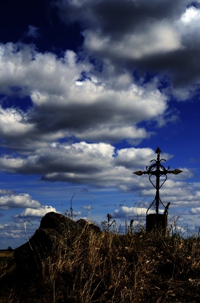 Kliknij na zdjęcie, żeby zobaczyć w pełnych wymiarach