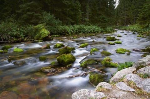 Kliknij na zdjęcie, żeby zobaczyć w pełnych wymiarach