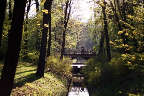 Kliknij na zdjęcie, żeby zobaczyć w pełnych wymiarach