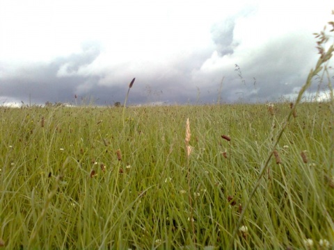 Kliknij na zdjęcie, żeby zobaczyć w pełnych wymiarach