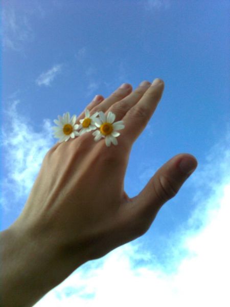 Kliknij na zdjęcie, żeby zobaczyć w pełnych wymiarach