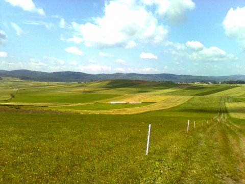Kliknij na zdjęcie, żeby zobaczyć w pełnych wymiarach