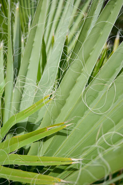 Kliknij na zdjęcie, żeby zobaczyć w pełnych wymiarach