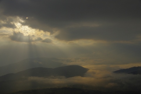 Kliknij na zdjęcie, żeby zobaczyć w pełnych wymiarach