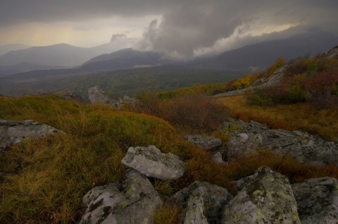 Kliknij na zdjęcie, żeby zobaczyć w pełnych wymiarach