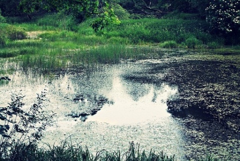Kliknij na zdjęcie, żeby zobaczyć w pełnych wymiarach