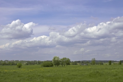 Kliknij na zdjęcie, żeby zobaczyć w pełnych wymiarach