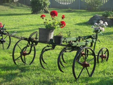 Kliknij na zdjęcie, żeby zobaczyć w pełnych wymiarach