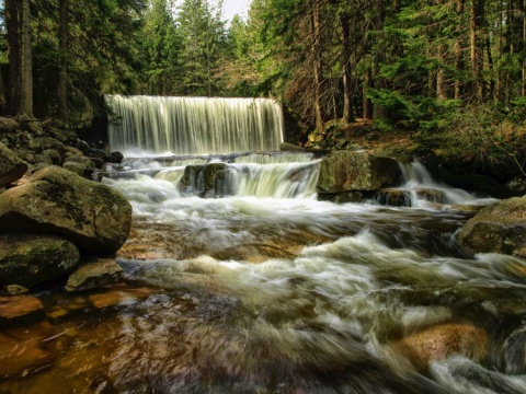 Kliknij na zdjęcie, żeby zobaczyć w pełnych wymiarach